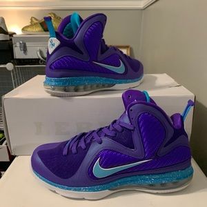 Lebron 9 “Hornets”